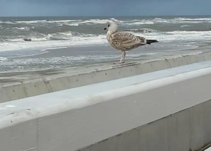 Appartment-306-3-etage-haus-andreas-dirks Lägenhet *
